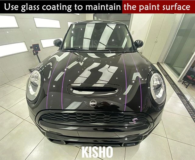 Factors of paint aging8